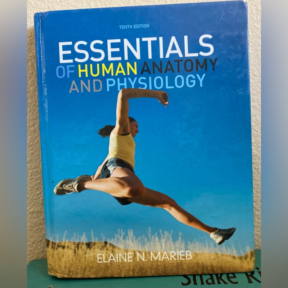 Essentials of Human Anatomy and Physiology Textbook 10th Edition